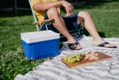 IGLOO Laguna 9 Cool Box Red -Outdoor Camping Shop k1f3a131b236b6d90b2f3f9757c82df88