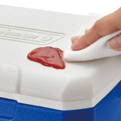 Coleman Performance 5QT Personal Cooler -Outdoor Camping Shop k46f35c6c2c6dd2c6e9c46849a7f097f7