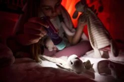 Ledlenser KidBEAM4 LED Hand Torch (Purple) -Outdoor Camping Shop k59e29570618b7729d370bdca435a3048