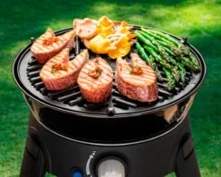 Cadac BBQ Grid 30 6 Cadac BBQ Grid 30 -Outdoor Camping Shop k99ed97a2ecfce9685eca27d9856eb126