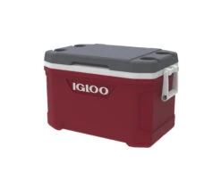 IGLOO Latitude 52QT Cool Box Red 15 IGLOO Latitude 52QT Cool Box Red -Outdoor Camping Shop kd151df04d57c9fc7ca9aef084985ced5
